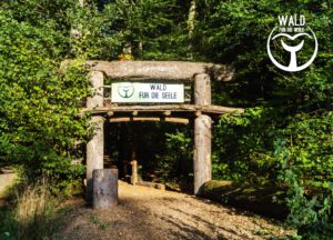 Read more about the article „Wald für die Seele“ erhält Auszeichnung