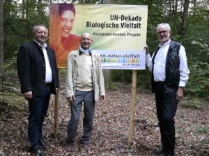 Read more about the article Vereinte Nationen zeichnen „Wald für die Seele“ aus